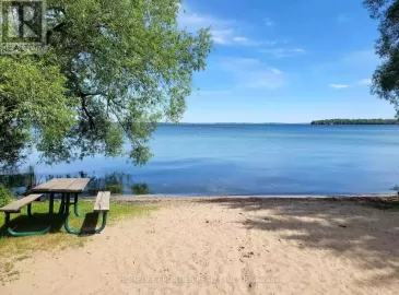 1015 Arnold Street, Innisfil, Ontario L0L1C0, 1 Bedroom Bedrooms, ,1 BathroomBathrooms,Single Family,For Lease,Arnold,N7218600