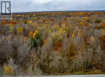 289 CONCESSION RD 3 Concession, Port Rowan, Ontario N0E1M0, ,Vacant Land,For Sale,CONCESSION RD 3,40508402