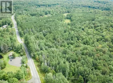 0 Falkenburg Road, Muskoka Lakes, ON P1L1X4, ,Vacant Land,For Sale,Falkenburg,X6768406