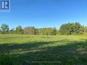 Pl 24 Pt 1 County Road 9, Alnwick/Haldimand, ON K0K2X0, ,Vacant Land,For Sale,Pt 1 County Road 9,X6787696