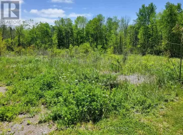 0 Francis Street, Madoc, ON K0K2K0, ,Vacant Land,For Sale,Francis,X6789606 0 Francis Street, Madoc, ON K0K2K0, ,Vacant Land,For Sale,Francis,X6789606