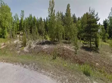 Sauble Beach, ON N0H2G0, ,Vacant Land,For Sale,H4173224