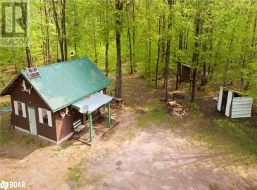 1040 BILL MCLAREN Trail, Harcourt, ON K0L1X0, 2 Bedrooms Bedrooms, ,Single Family,For Sale,BILL MCLAREN,40478141 1040 BILL MCLAREN Trail, Harcourt, ON K0L1X0, 2 Bedrooms Bedrooms, ,Single Family,For Sale,BILL MCLAREN,40478141