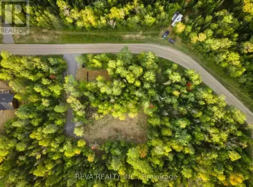31 Arthur Street, Hastings Highlands, Ontario K0L2K0, ,Vacant Land,For Sale,Arthur,X6789960 31 Arthur Street, Hastings Highlands, Ontario K0L2K0, ,Vacant Land,For Sale,Arthur,X6789960