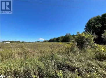 391 LINE 15 S Line, Orillia, Ontario L3V6H1, ,Vacant Land,For Sale,LINE 15 S,40484446