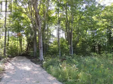 Lt 35 Highland Drive, West Grey, ON N0C1H0, ,Vacant Land,For Sale,Highland,X7004710 Lt 35 Highland Drive, West Grey, ON N0C1H0, ,Vacant Land,For Sale,Highland,X7004710