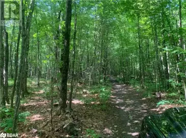 16 CLAREVIEW Road, Erinsville, ON K0K2A0, ,Vacant Land,For Sale,CLAREVIEW,40482840 16 CLAREVIEW Road, Erinsville, ON K0K2A0, ,Vacant Land,For Sale,CLAREVIEW,40482840