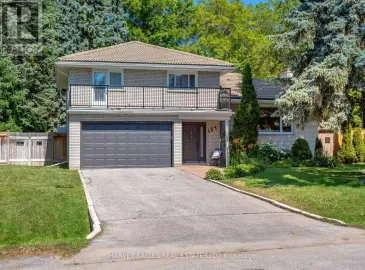 157 Princess Anne Crescent, Toronto, Ontario M9A2R7, 4 Bedrooms Bedrooms, ,3 BathroomsBathrooms,Single Family,For Lease,Princess Anne,W7005736 157 Princess Anne Crescent, Toronto, Ontario M9A2R7, 4 Bedrooms Bedrooms, ,3 BathroomsBathrooms,Single Family,For Lease,Princess Anne,W7005736