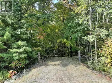0 Flinton Road, Tweed, Ontario K0K3J0, ,Vacant Land,For Sale,Flinton,X7025418 0 Flinton Road, Tweed, Ontario K0K3J0, ,Vacant Land,For Sale,Flinton,X7025418