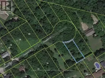 43 Sheppard Street, Severn, ON L0K1E0, ,Vacant Land,For Sale,Sheppard,S7029670