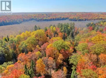 Con Ehr Pt Lot M-25 Lot 4, Bancroft, ON K0L1C0, ,Vacant Land,For Sale,Pt Lot M-25 Lot 4,X7056336