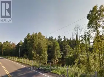 0 HWY 62, Madoc, ON K0K1Y0, ,Vacant Land,For Sale,HWY 62,40479038 0 HWY 62, Madoc, ON K0K1Y0, ,Vacant Land,For Sale,HWY 62,40479038