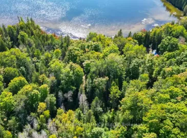 1213 Klima Lane, North Frontenac, ON K0H2M0, ,Vacant Land,For Sale,Klima,X7005966