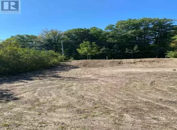 137 Golf Course Road, Wasaga Beach, ON L9Z1S6, ,Vacant Land,For Sale,Golf Course,S7019774