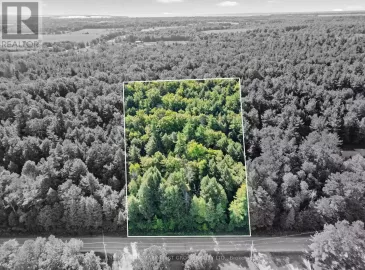 0 Telephone Road, Brighton, Ontario K0K1H0, ,Vacant Land,For Sale,Telephone,X7021520