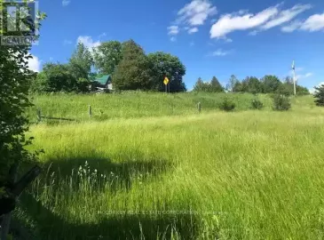 251 Concession Rd 13, Trent Hills, Ontario K0L1Y0, ,Vacant Land,For Sale,Concession Rd 13,X6699400