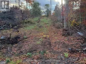 N/A Black River Road, Tweed, Ontario K0K3J0, ,Vacant Land,For Sale,Black River,X7062364