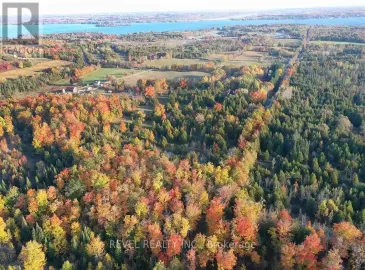0 Dunbar Drive, Kawartha Lakes, ON K0M1N0, ,Vacant Land,For Sale,Dunbar,X7063298 0 Dunbar Drive, Kawartha Lakes, ON K0M1N0, ,Vacant Land,For Sale,Dunbar,X7063298