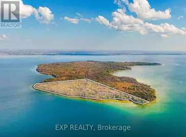 40178 Shore Road, Brock, ON L0K1A0, ,Vacant Land,For Sale,Shore,N7220158