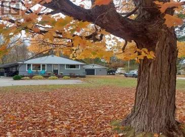 26575 Highway 62, Bancroft, ON K0L1C0, 3 Bedrooms Bedrooms, ,1 BathroomBathrooms,Single Family,For Sale,Highway 62,X7220882