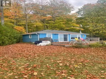 10 Fire Route 65, Galway-Cavendish and Harvey, Ontario K0L1V0, 2 Bedrooms Bedrooms, ,1 BathroomBathrooms,Single Family,For Sale,Fire Route 65,X7221228