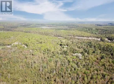 Pt Lt12 Con 2, Burk's Falls, Ontario P0A1C0, ,Vacant Land,For Sale,Con 2,X7221748