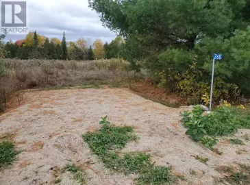 260 Pine View Ridge Road, Tudor & Cashel, ON K0L1W0, ,Vacant Land,For Sale,Pine View Ridge,X7222398