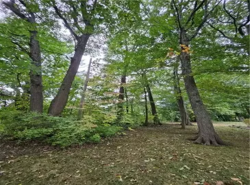 Fort Erie, ON L0S1N0, ,Vacant Land,For Sale,H4177350