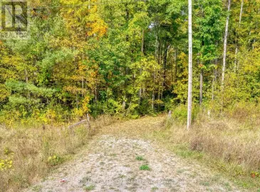 Part 2 County Road 45, Trent Hills, ON K0K1H0, ,Vacant Land,For Sale,County Road 45,X7271474 Part 2 County Road 45, Trent Hills, ON K0K1H0, ,Vacant Land,For Sale,County Road 45,X7271474
