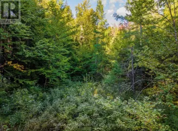 0 Axe Lake Road, McMurrich/Monteith, ON P0A1Y0, ,Vacant Land,For Sale,Axe Lake,X7275644