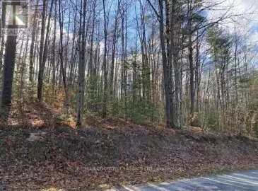 0 Snow Road, Bancroft, ON K0L1C0, ,Vacant Land,For Sale,Snow,X7276928