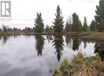 26-28 Chisholm Trail, Kawartha Lakes, ON L0K1W0, ,Vacant Land,For Sale,Chisholm,X6795618