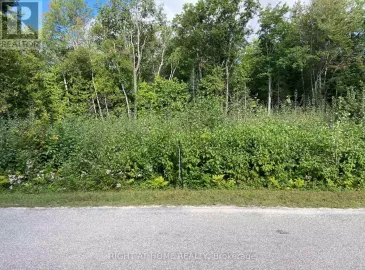 Lot 17 Faesulae Road, Tiny, Ontario L9M1R3, ,Vacant Land,For Sale,Faesulae,S6795990