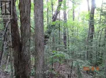 1251 Buckshot Lake Road, Addington Highlands, Ontario K0H1L0, ,Vacant Land,For Sale,Buckshot Lake,X6000415