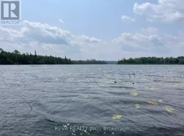 0 Egan Creek Road, Tudor & Cashel, Ontario K0L1W0, ,Vacant Land,For Sale,Egan Creek,X6708596