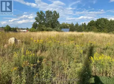 0 Artemesia Street, Southgate, ON N0C1B0, ,Vacant Land,For Sale,Artemesia,X6797292 0 Artemesia Street, Southgate, ON N0C1B0, ,Vacant Land,For Sale,Artemesia,X6797292