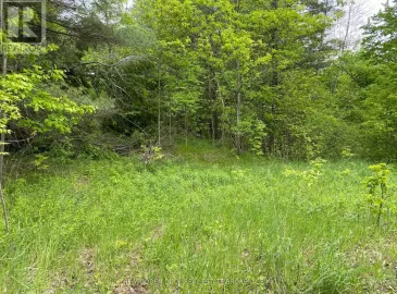 1915 County 48 Road, Havelock-Belmont-Methuen, Ontario K0L1Z0, ,Vacant Land,For Sale,County 48,X6798430