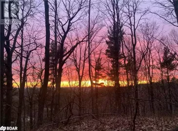 3326 4 Line, Oro-Medonte, Ontario L0L2L0, ,Vacant Land,For Sale,4,40479362