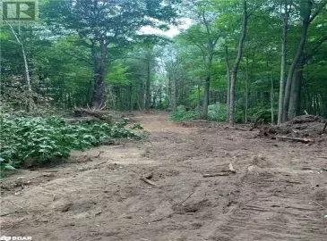 3326 4 Line, Oro-Medonte, Ontario L0L2L0, ,Vacant Land,For Sale,4,40479378