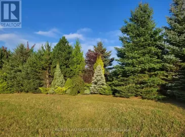 Part 1 County 27 Road, Cramahe, ON K0K3K0, ,Vacant Land,For Sale,County 27,X7037488