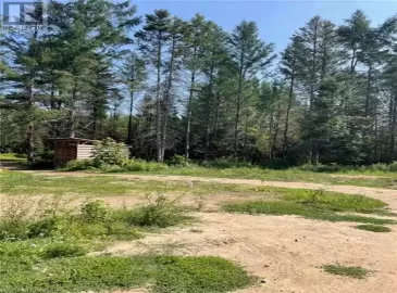 142 MASSICOTTE Road, Massey, Ontario P0P1P0, ,Vacant Land,For Sale,MASSICOTTE,40500790