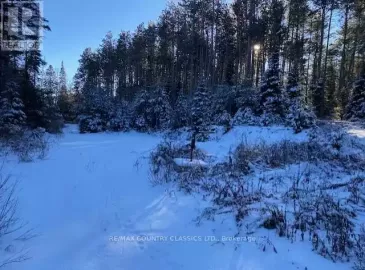 0 Highway 620, Wollaston, ON K0L1P0, ,Single Family,For Sale,Highway 620,X6790080