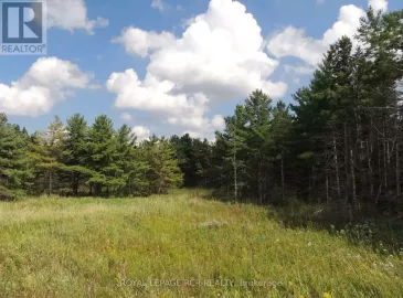 Ptlt 21 Grey Road 32 Road, Grey Highlands, Ontario N0C1E0, ,Vacant Land,For Sale,Grey Road 32,X6799000