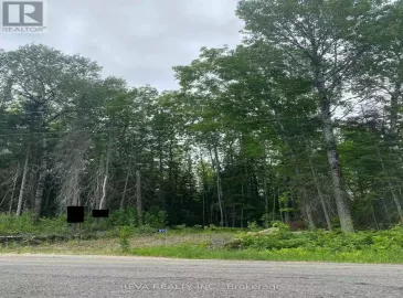 1755 South Baptiste Lake Road, Bancroft, ON K0L1C0, ,Vacant Land,For Sale,South Baptiste Lake,X7040320