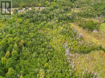 0 Carson Road, Centre Hastings, ON K0K3H0, ,Vacant Land,For Sale,Carson,X7200024