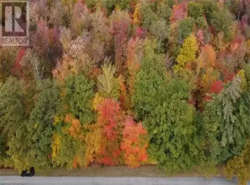 20 7 CONCESSION Road, Simcoe, ON N3Y4K1, ,Vacant Land,For Sale,7 CONCESSION,40480643 20 7 CONCESSION Road, Simcoe, ON N3Y4K1, ,Vacant Land,For Sale,7 CONCESSION,40480643