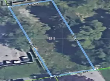 81 Upwood, Toronto, ON M6L3A4, ,Vacant Land,For Sale,Upwood,W7012004