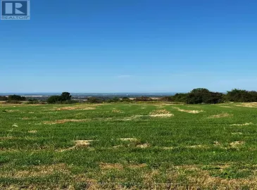 5060 8th Line, Essa, Ontario L0L1L0, ,Vacant Land,For Sale,8th,N6775782 5060 8th Line, Essa, Ontario L0L1L0, ,Vacant Land,For Sale,8th,N6775782