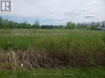 17 Walsh Road, Kawartha Lakes, Ontario K9V4R3, ,Vacant Land,For Sale,Walsh,X6775966 17 Walsh Road, Kawartha Lakes, Ontario K9V4R3, ,Vacant Land,For Sale,Walsh,X6775966