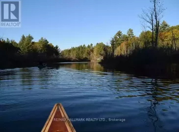 0 Pt Lt 14 Con 1 Digby, Kawartha Lakes, ON K0M2L0, ,Vacant Land,For Sale,Pt Lt 14 Con 1 Digby,X6778084 0 Pt Lt 14 Con 1 Digby, Kawartha Lakes, ON K0M2L0, ,Vacant Land,For Sale,Pt Lt 14 Con 1 Digby,X6778084